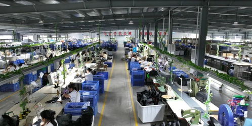 湖北翔馳運動用品 以信息系統(tǒng)集成服務加快培育新質(zhì)生產(chǎn)力，賦能企業(yè)創(chuàng)新發(fā)展